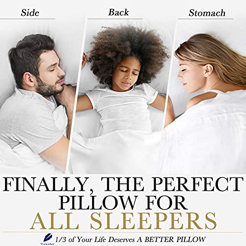 Viewstar King Pillows