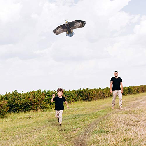 Bald Eagle Kite for Kids and Adults