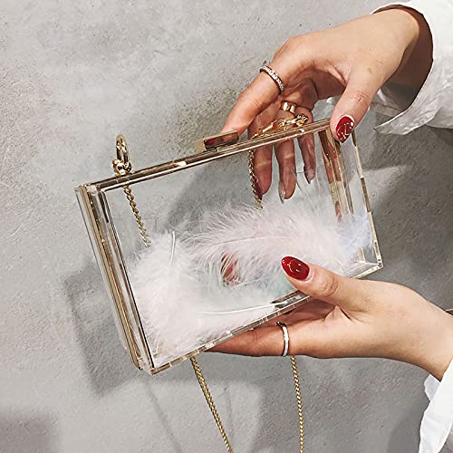 Women's Clear Acrylic Evening Clutch
