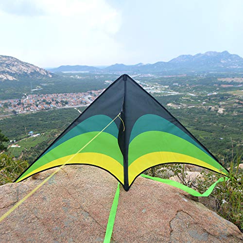 Mint's Colorful Delta Kite with Ribbons and String