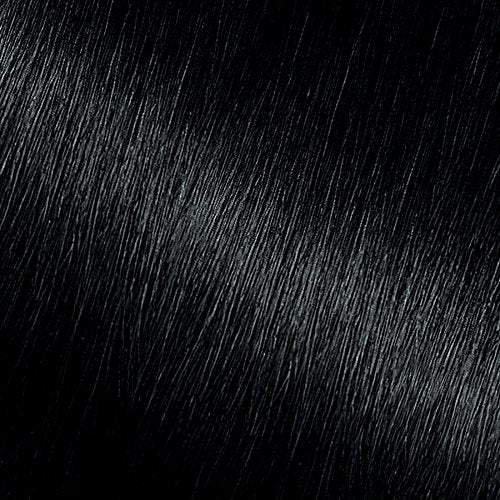 Garnier Nutrisse Nourishing Creme Hair Color