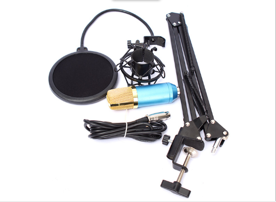 BM800 Microphone Set