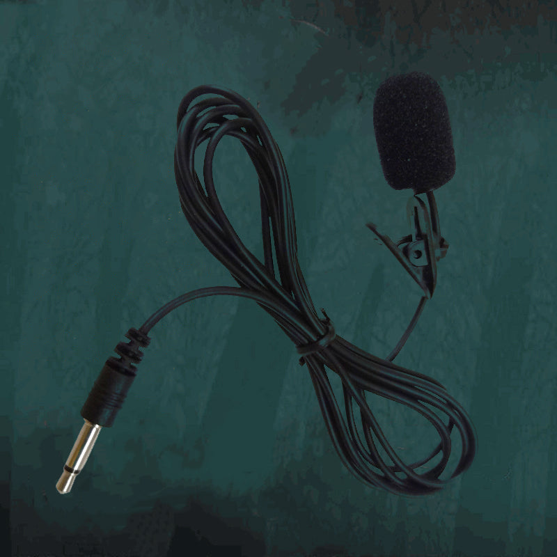 Loudspeaker Teaching Microphone
