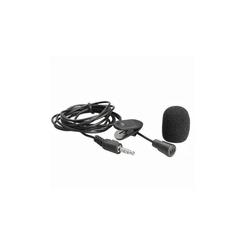 Loudspeaker Teaching Microphone