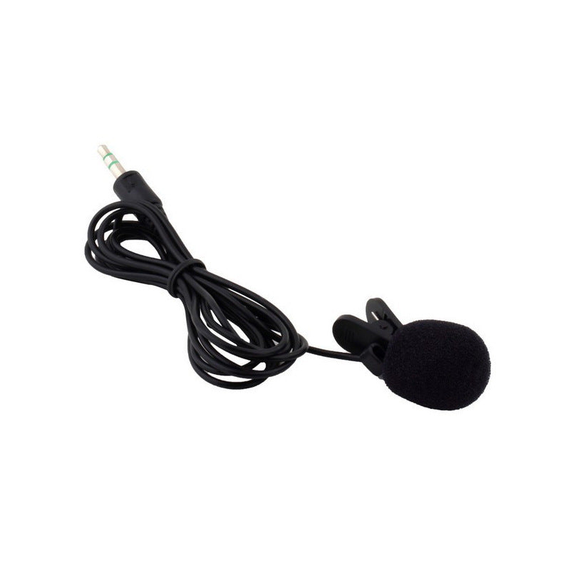Loudspeaker Teaching Microphone